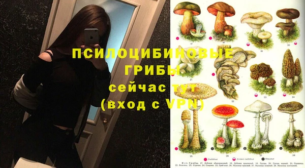 кокаин колумбия Алексин