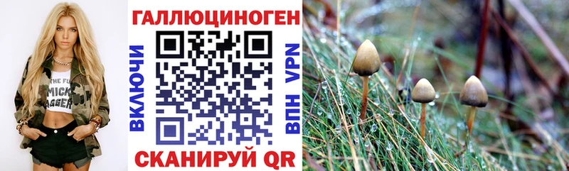 Галлюциногенные грибы Psilocybe  Жуковский 